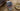 Rolex Master GMT II Review and Buying Guide: 2026 Edition
