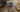 Rolex Master GMT II Review and Buying Guide: 2026 Edition