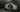 Rolex Oyster Perpetual: Guide to Models & Value