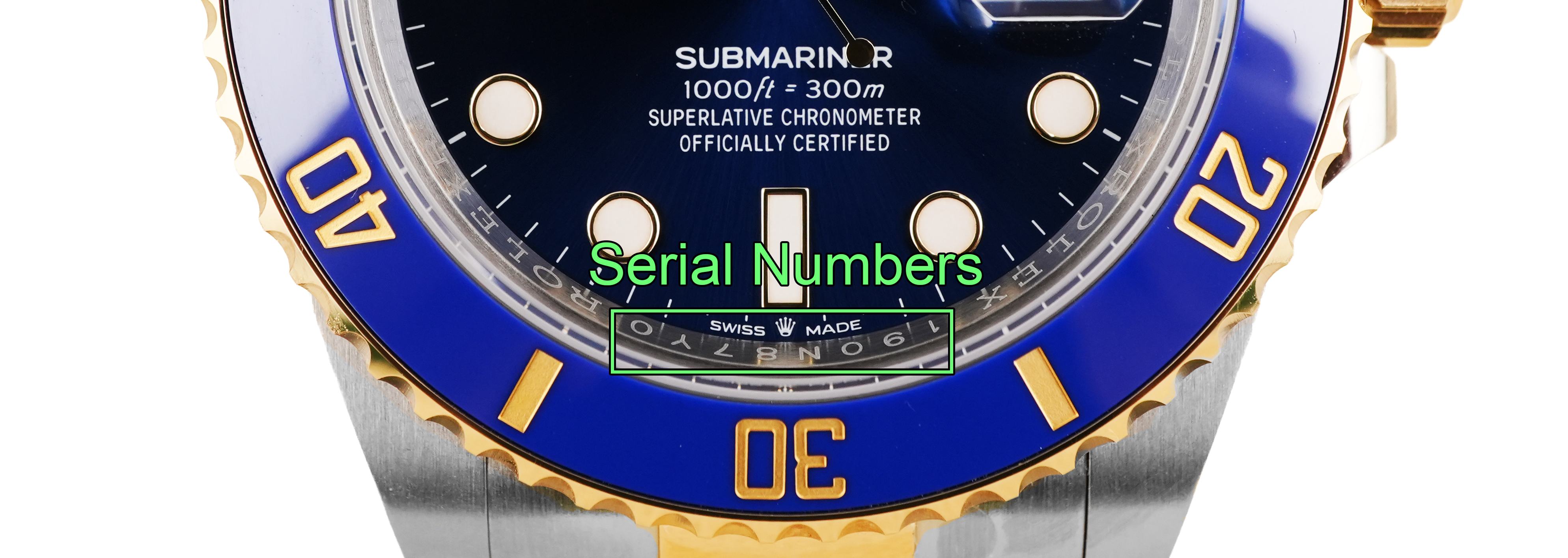 Rolex Watch with blue bezel and gold accents, highlighting serial numbers.