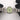 Rolex 124200 Oyster Perpetual 34 mm Pistachio Dial Oyster Box & Papers 2025